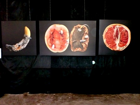 Gulchenko Surgery Rostov Biennale