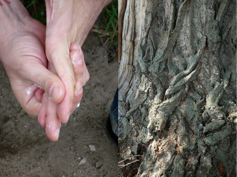 Lieberation 175 # 141 Moisturize