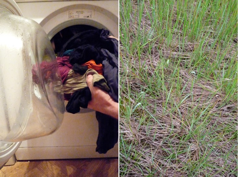 # 115 Do Laundry ... with Philip