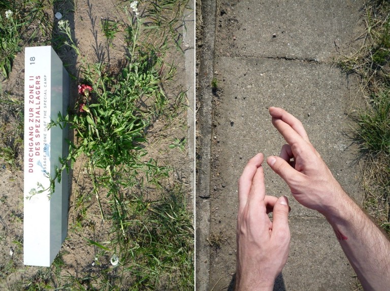 # 20 Make a Wish ... with Joshua