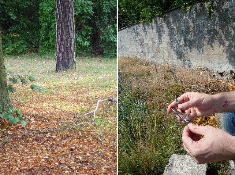 # 6 Cut Nails ... with David