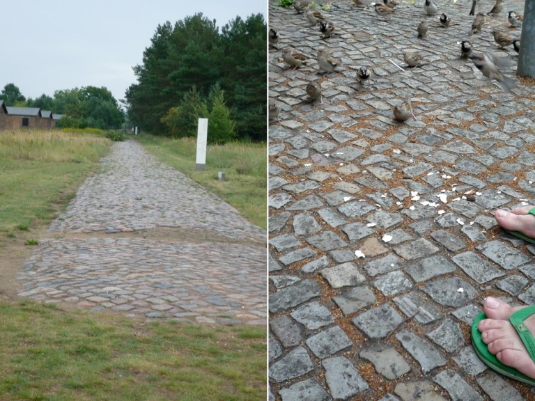 # 163 Feed the Birds ... with Cornelius