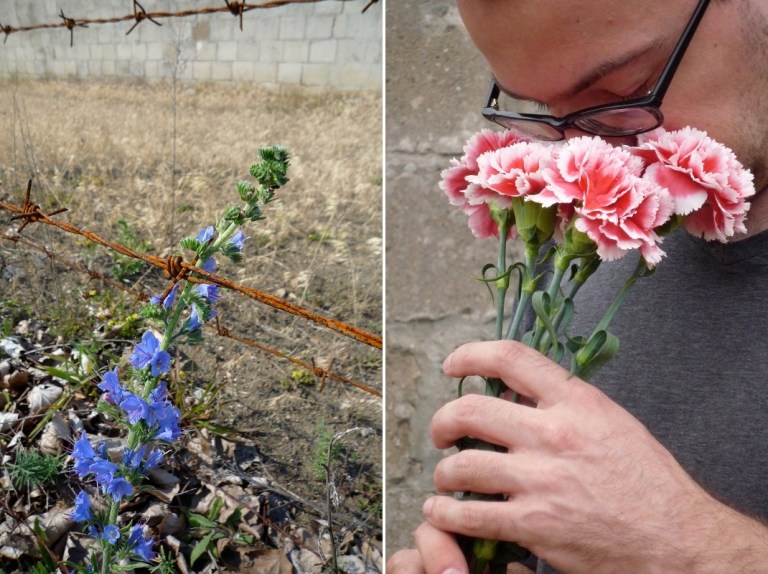 # 31 Smell Flowers ... with Cecil