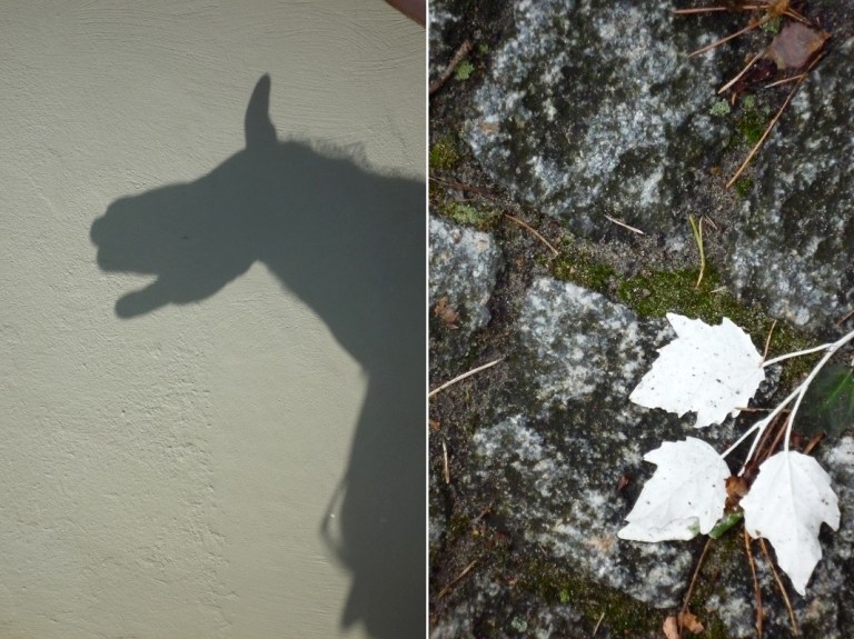 # 94 Do Shadow Theater ... with Richard