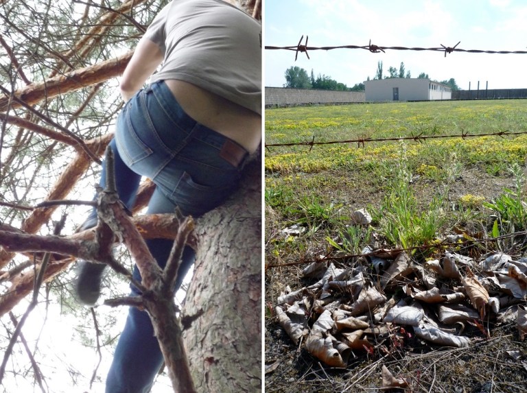 # 151 Climb a Tree ... with Oscar