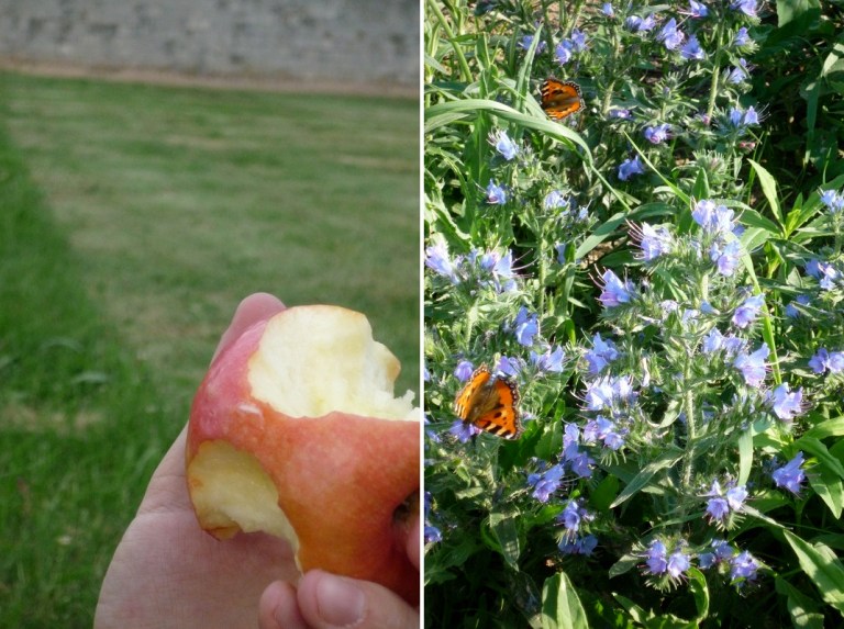 # 36 Eat Fruit ... with Alan