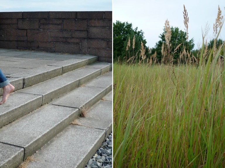 # 45 Climb Stairs ... with Rubin