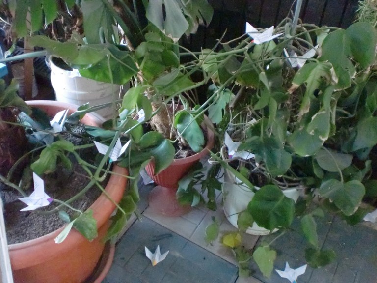 Murakami Timbul Birds